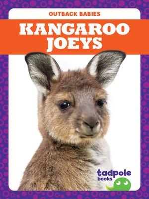 cover image of Kangaroo Joeys
